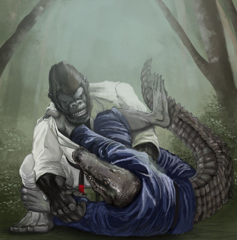 Açaí y Jiu-Jitsu